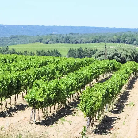 Stunning In With Kitchen Chamaret